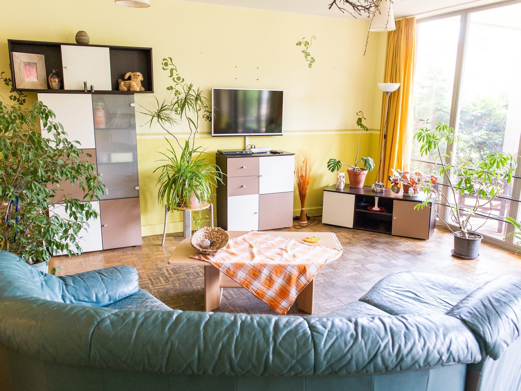 Ein Fernsehzimmer mit gemütlicher Couch, Zimmerpflanzen und großen Fenstern